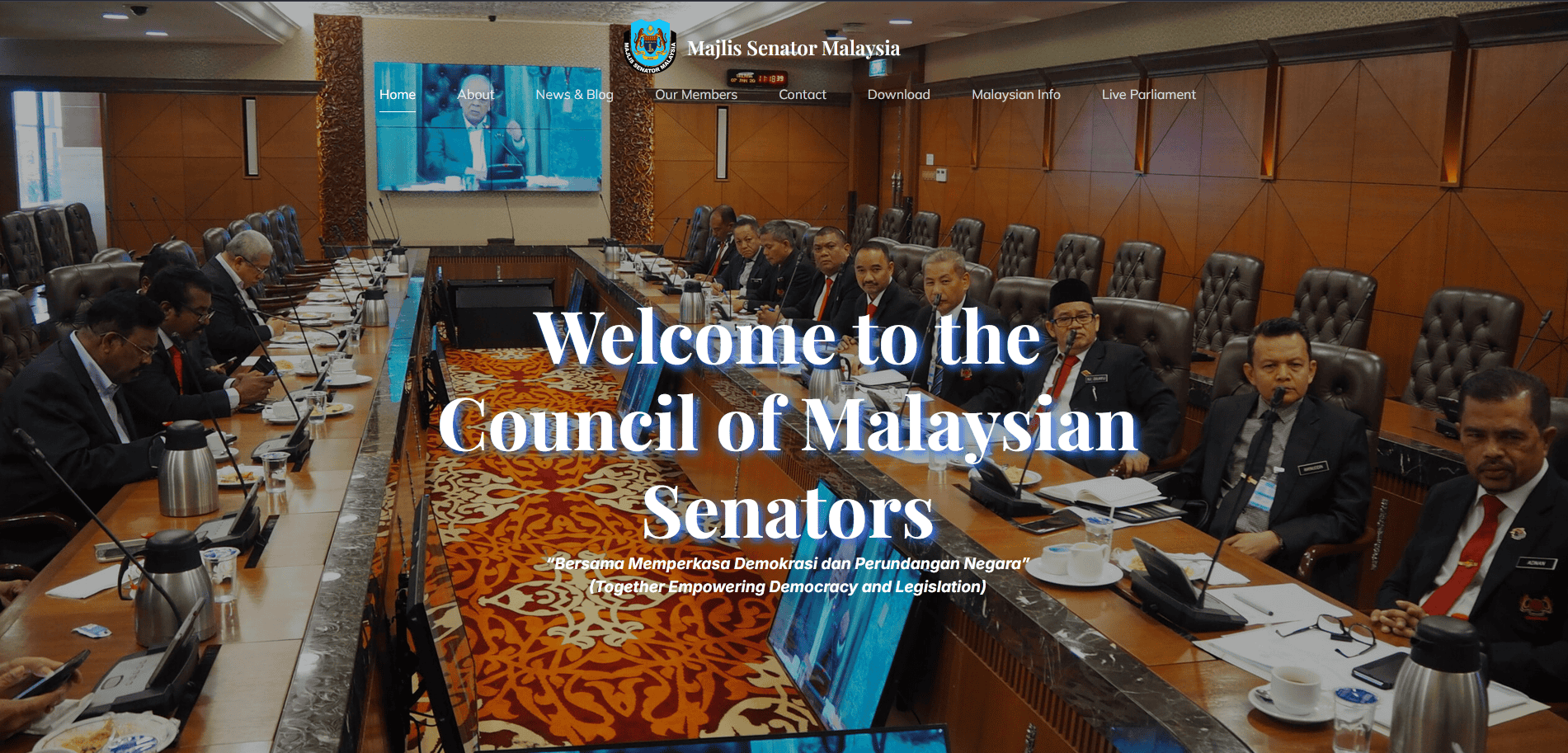 MSM Website Screenshot